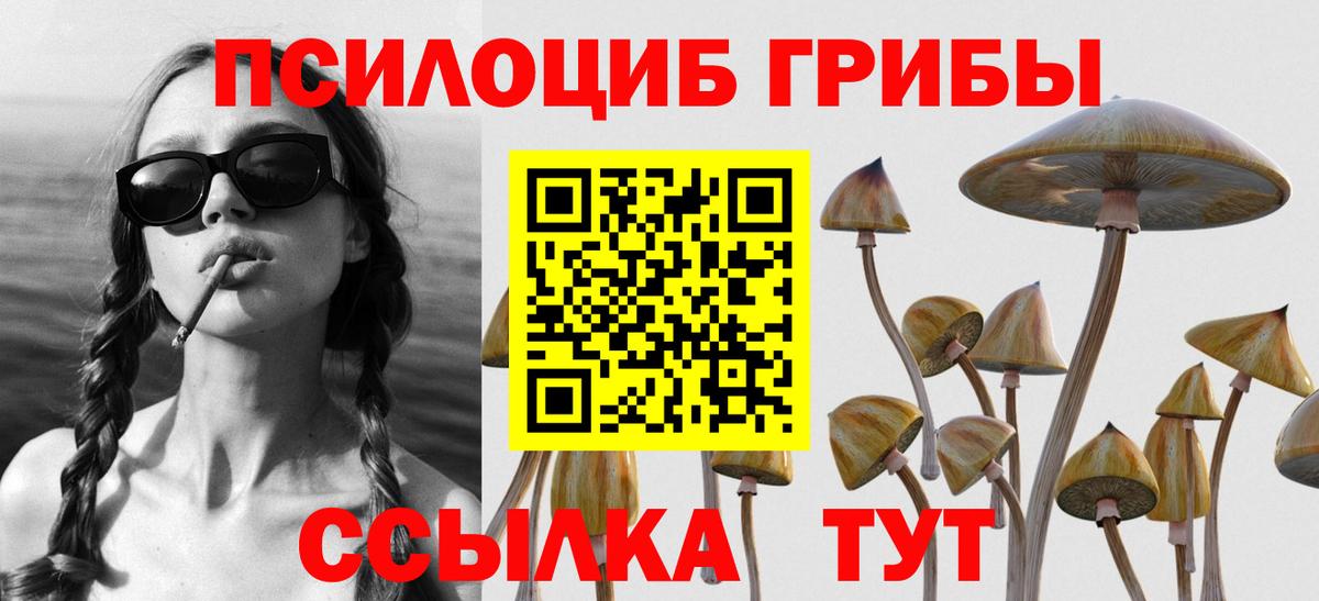 Псилоцибиновые грибы прущие грибы Дагестанские Огни