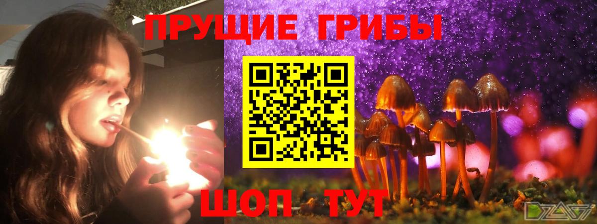 Дагестанские Огни  Галлюциногенные грибы Psilocybine cubensis  Вход с VPN 